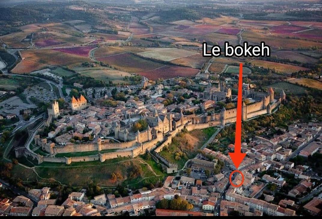 Le Bokeh Apartments - Face à la Cité Médiévale Carcassonne Extérieur photo